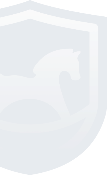 Bg Logo